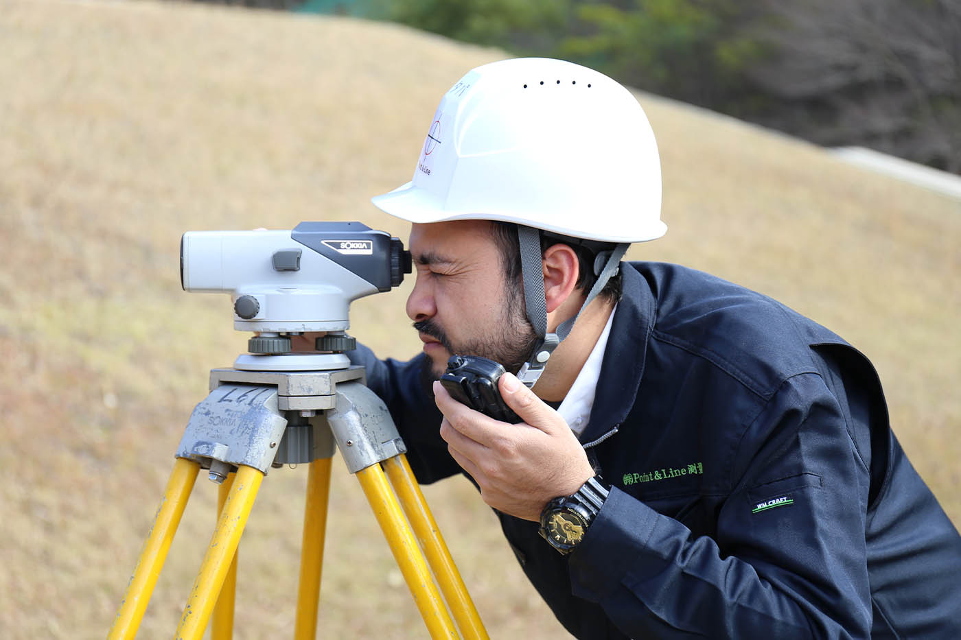 コンテンツ画像