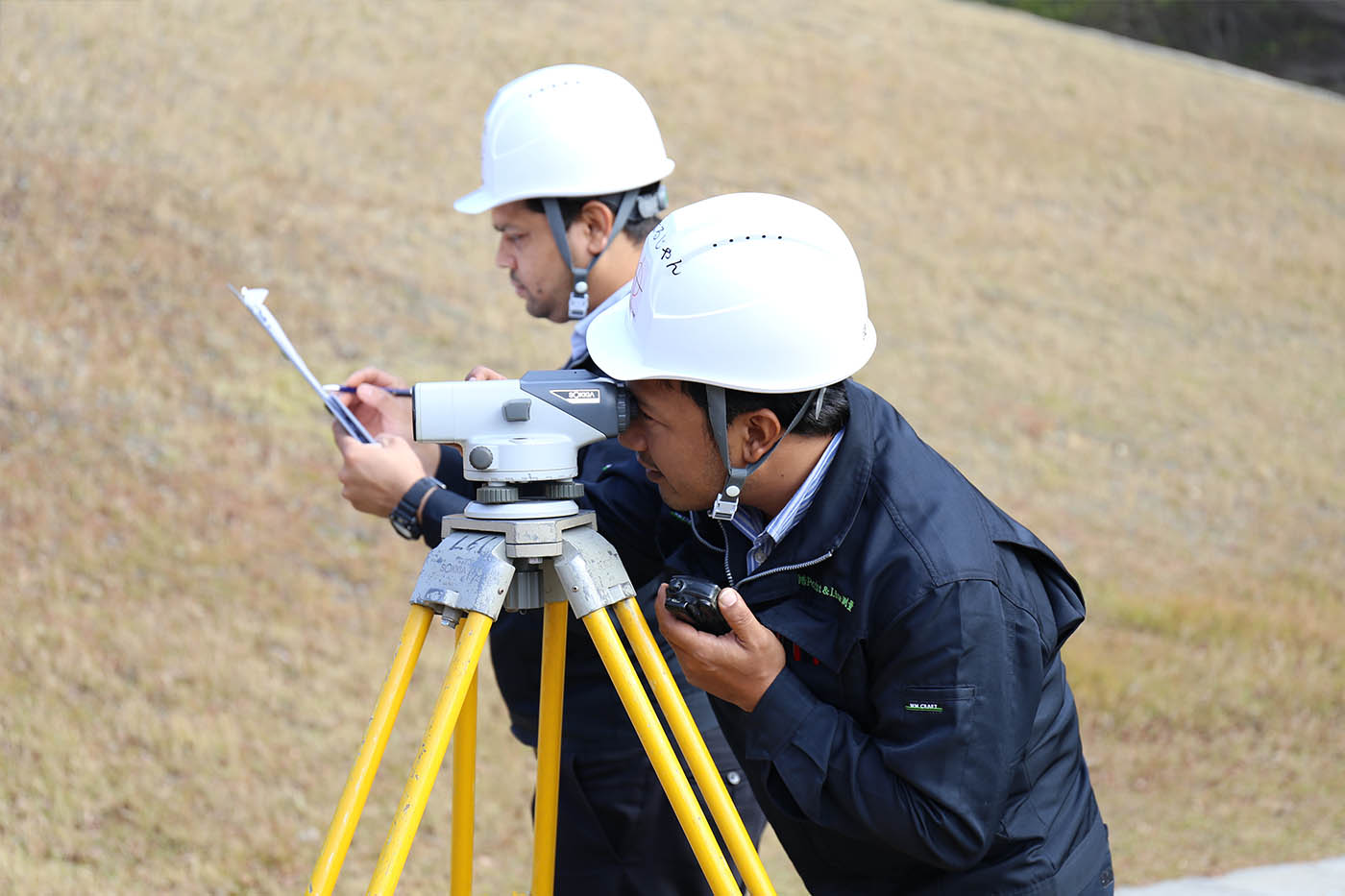 コンテンツ画像